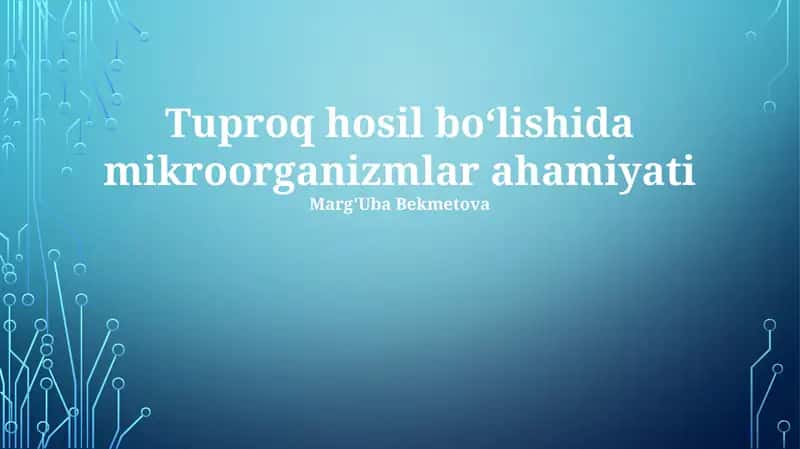 Tuproq hosil bo'lishida mikroorganizmlar ahamiyati