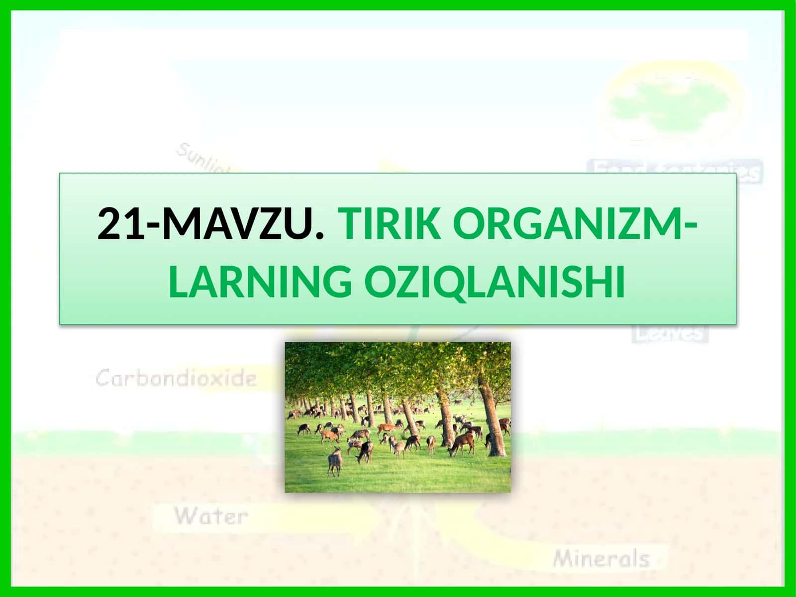 TIRIK ORGANIZM-LARNING OZIQLANISHI