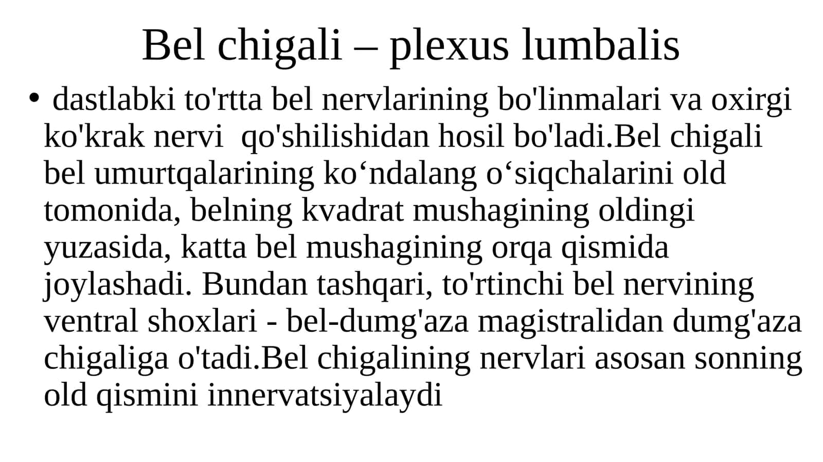 Belchigali-plexuslumbalis