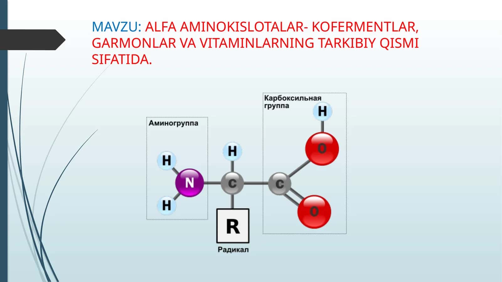 ALFA AMINOKISLOTALAR- KOFERMENTLAR, GARMONLAR VA VITAMINLARNING TARKIBIY QISMI SIFATIDA