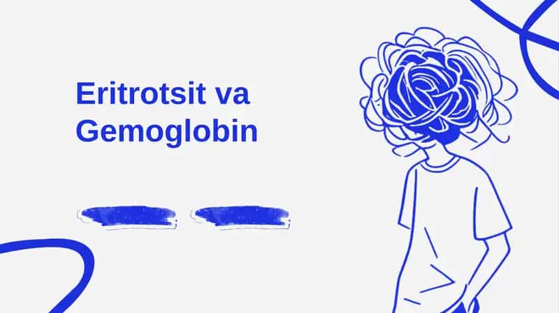 Eritrotsit va Gemoglobin