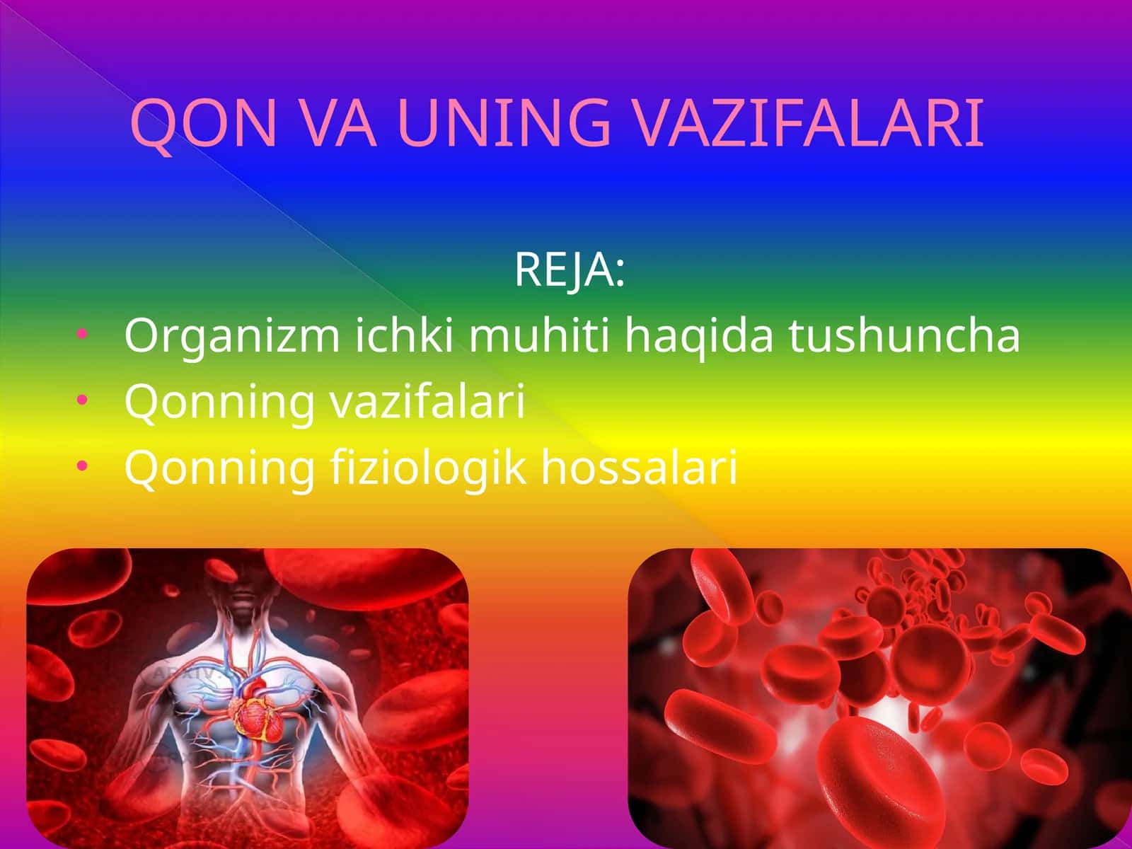 QON VA UNING VAZIFALARI