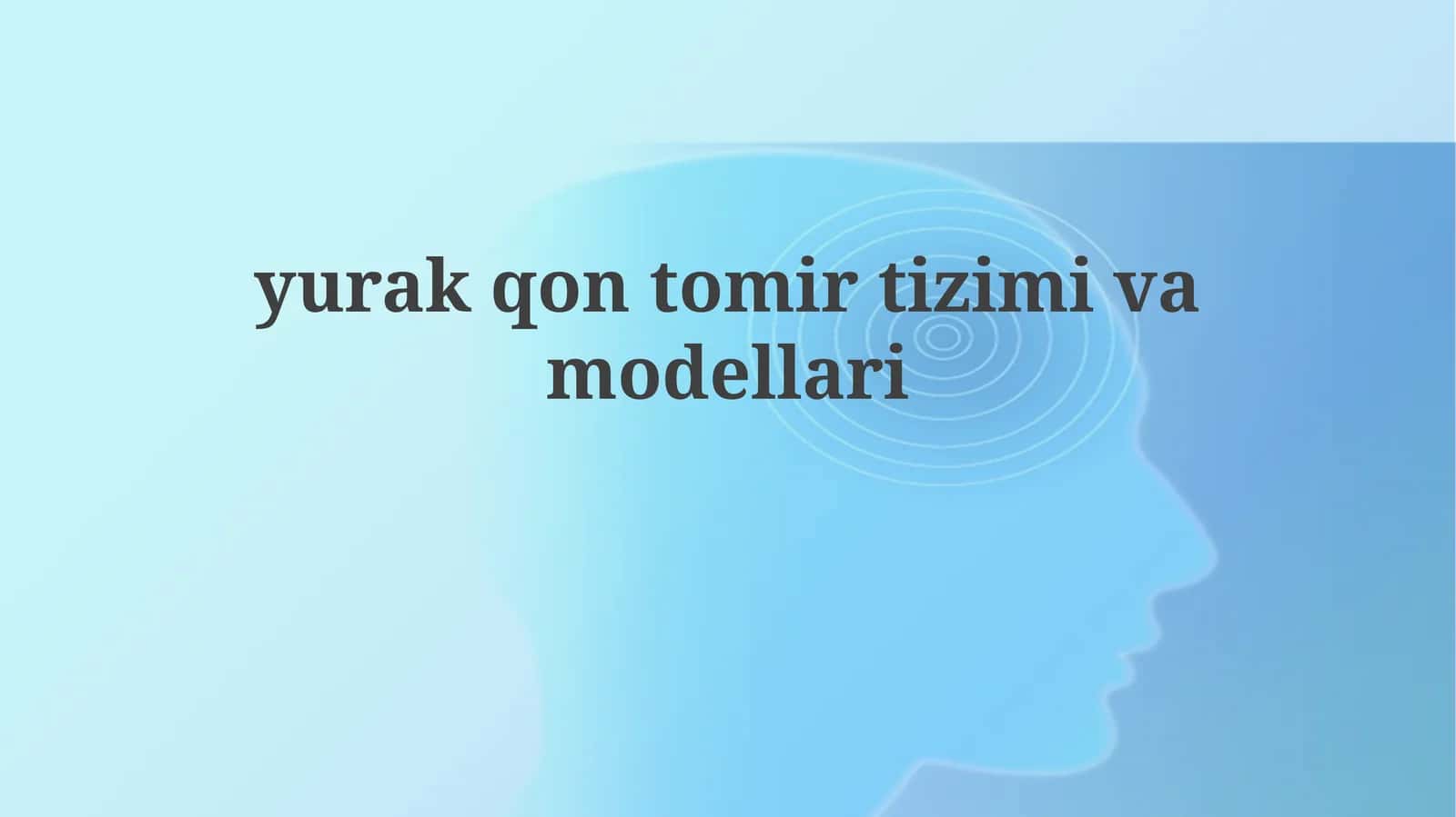 Yurak-qon tomir tizimini va modellari