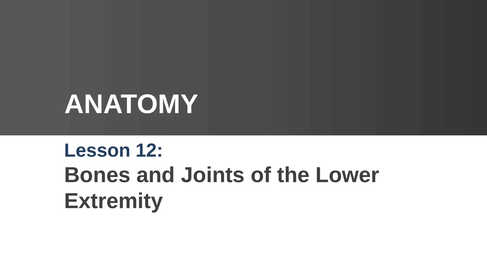 Bones and Joints of the Lower Extremity