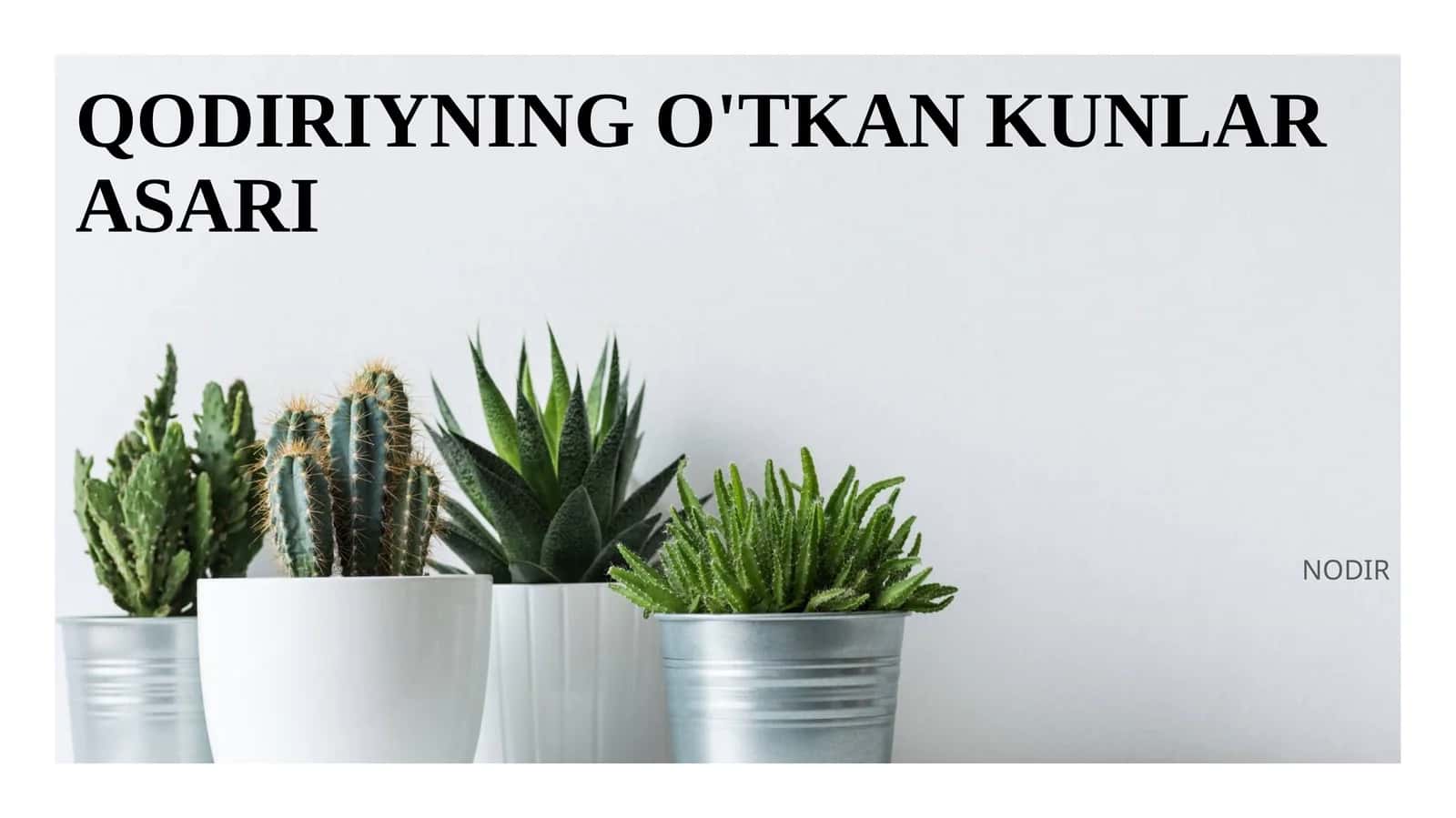 QODIRIYNING O'TKAN KUNLAR ASARI