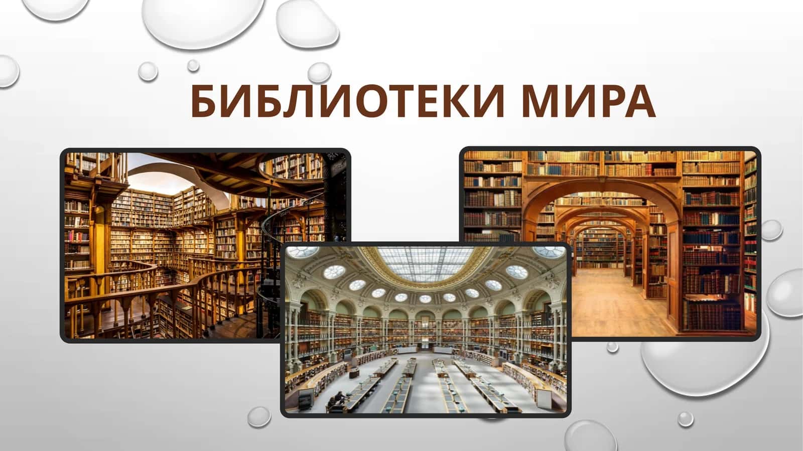 Библиотеки мира