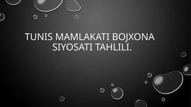 Tunis Mamlakati Bojxonasiyosi Tahlili
