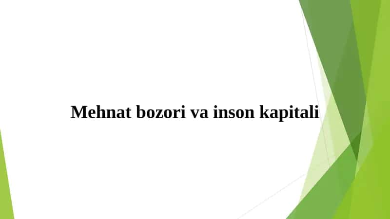 Mehnat bozori va inson kapitali