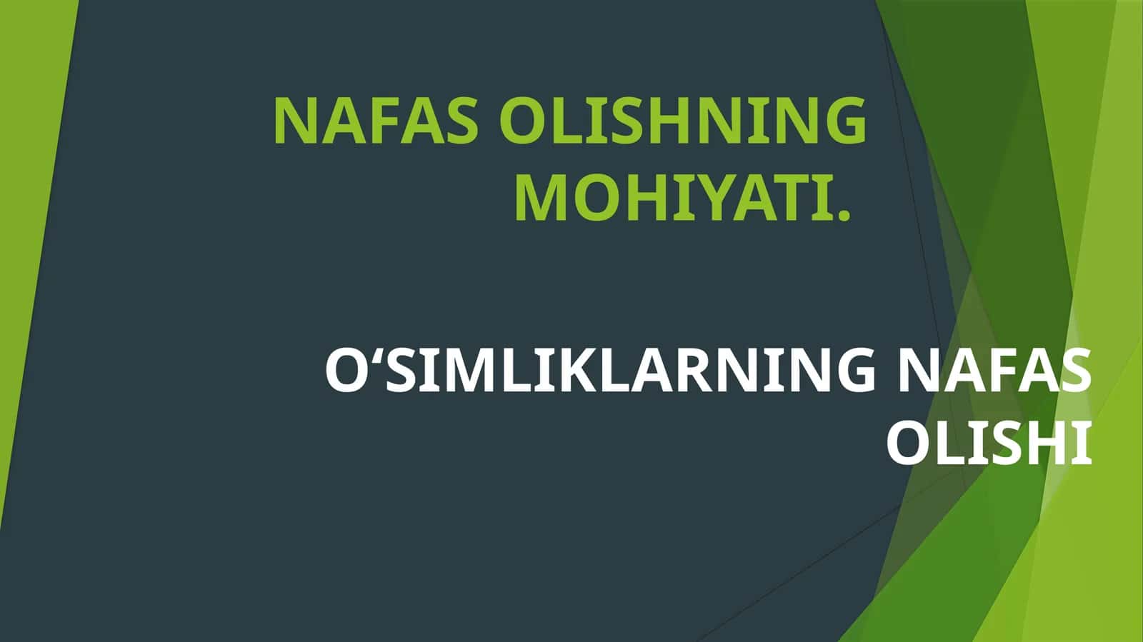 O‘SIMLIKLARNING NAFAS OLISHI