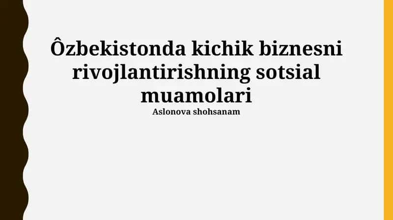 Ôzbekistonda kichik biznesni rivojlantirishning sotsial muamolari