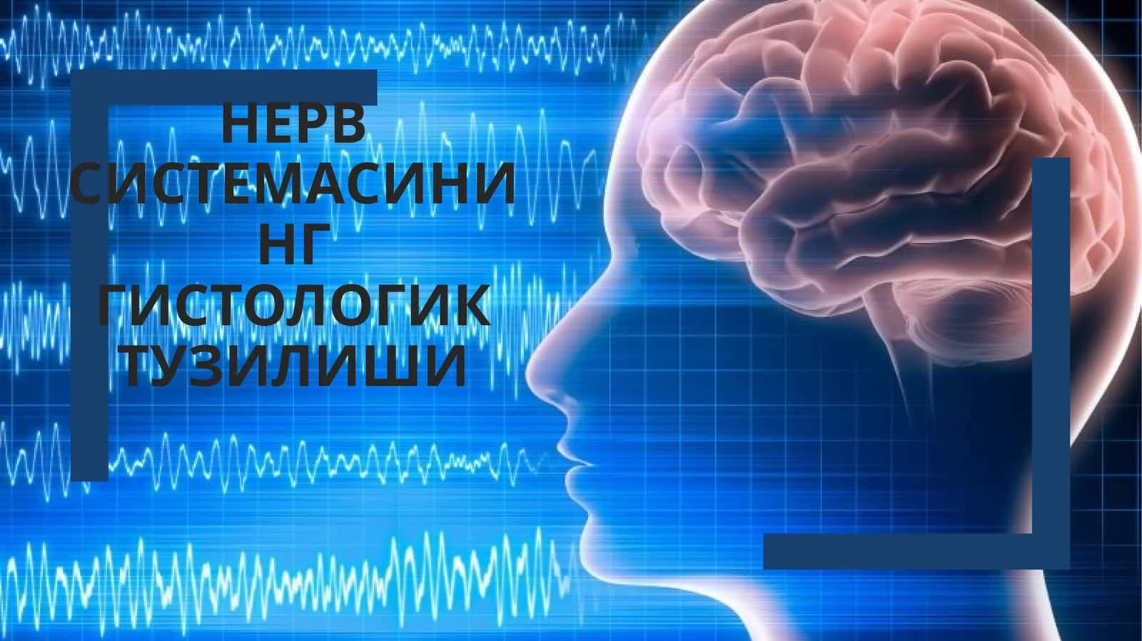 НЕРВ СИСТЕМАСИНИНГ ГИСТОЛОГИК ТУЗИЛИШИ