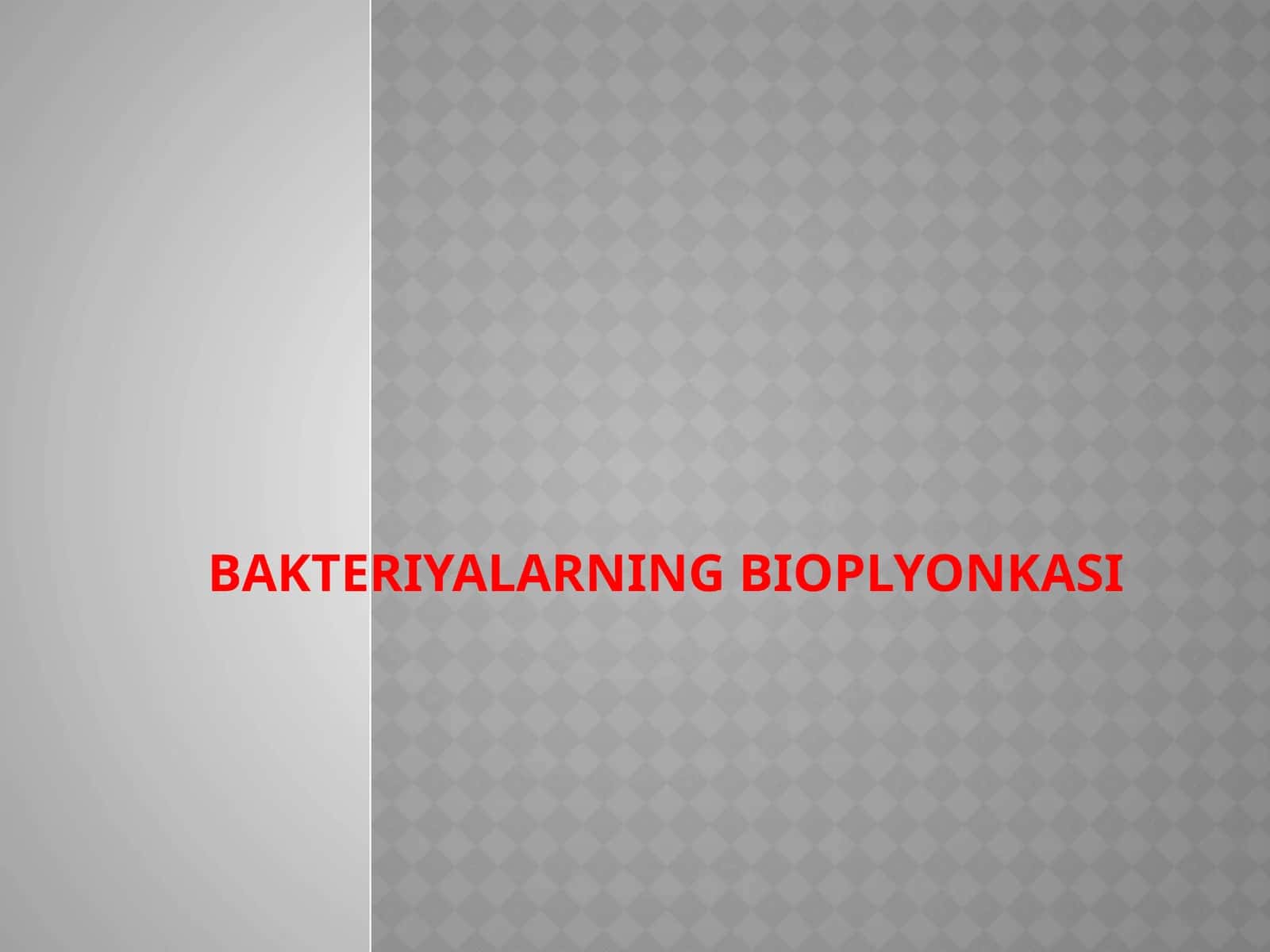 BAKTERIYALARNING BIOPLYONKASI