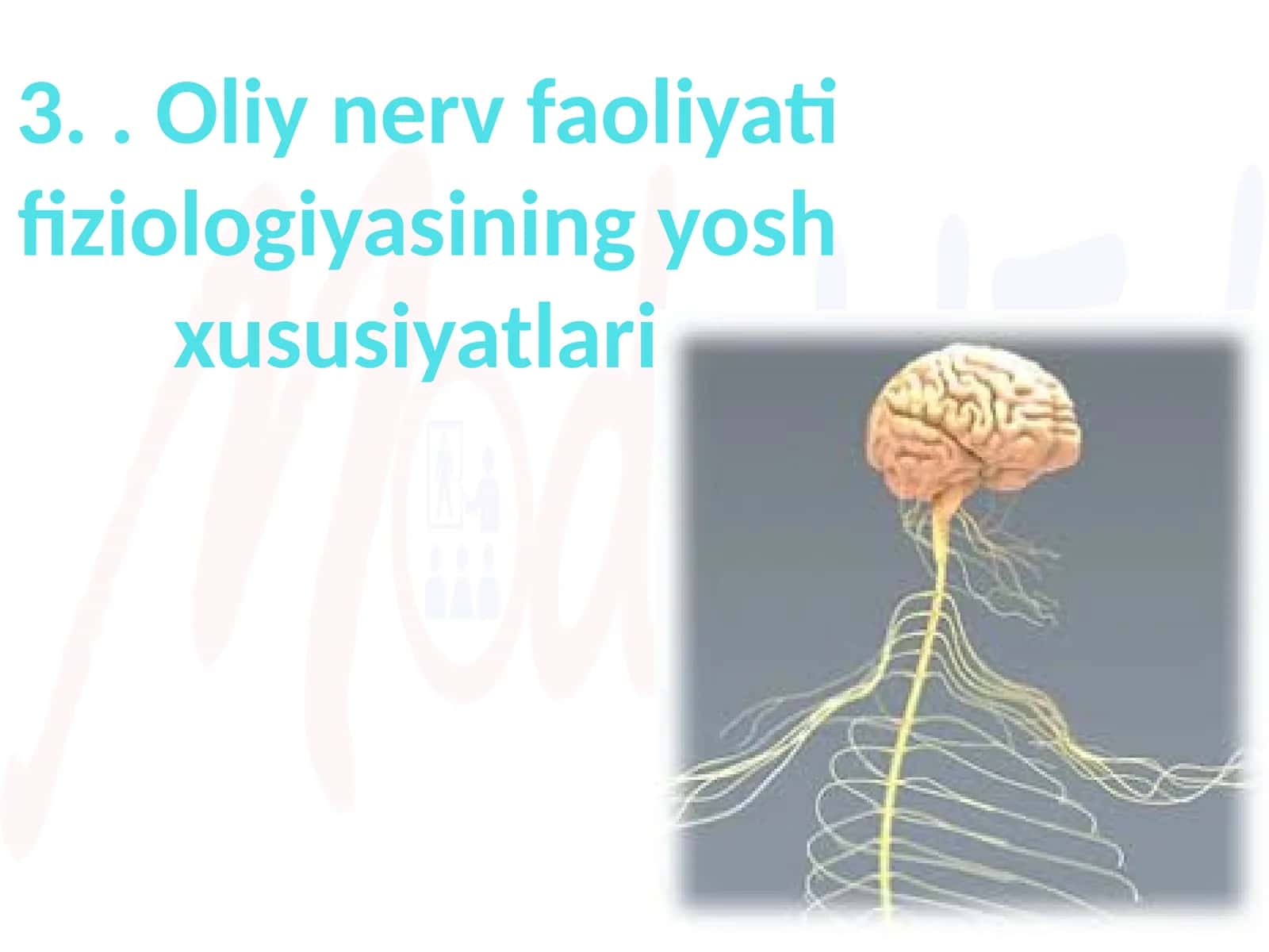 Oliy nerv faoliyati fiziologiyasining yosh xususiyatlari