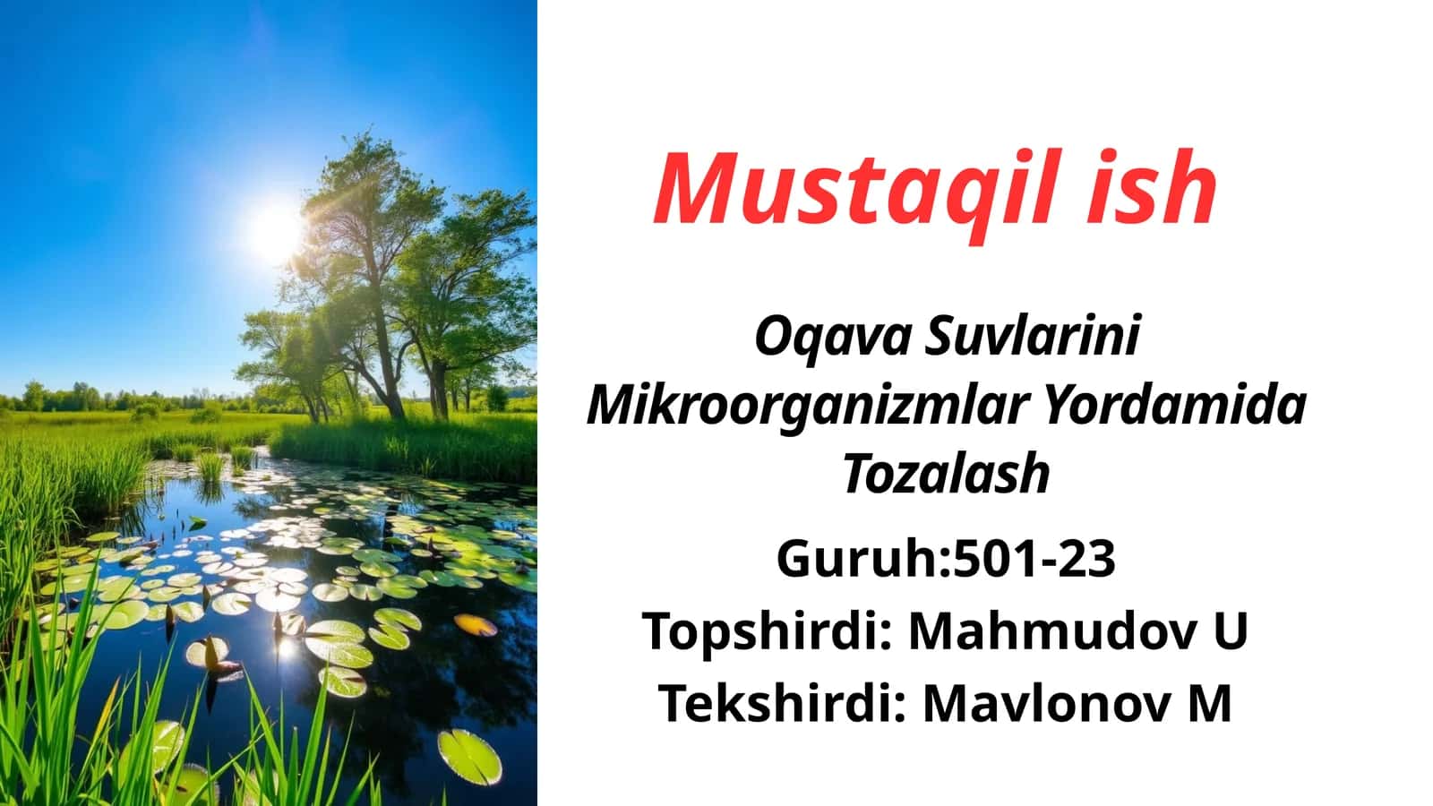 Oqava Suvlari Mikroorganizmlar Yordamida Tozalash