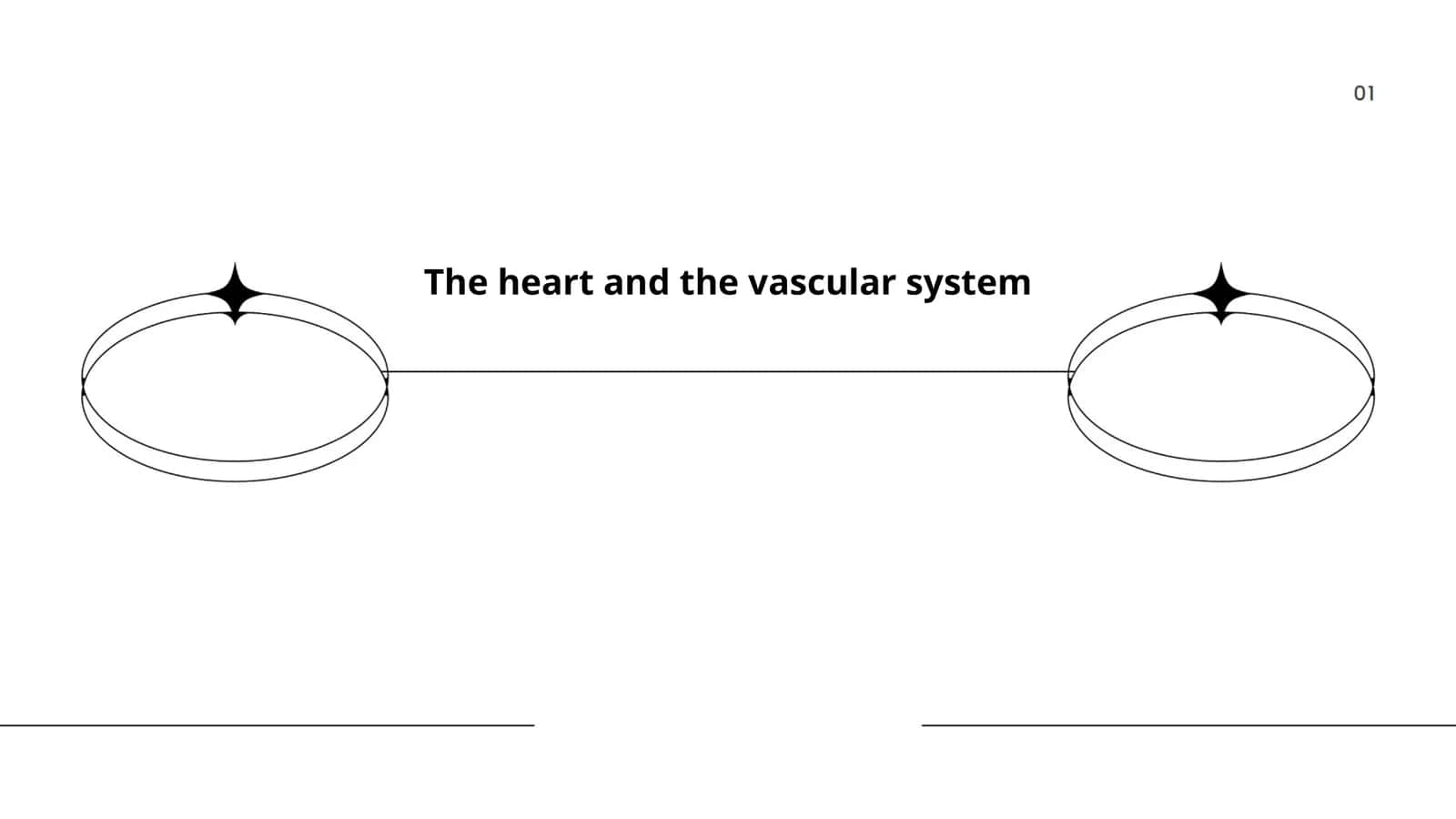 The heart and the vascular system