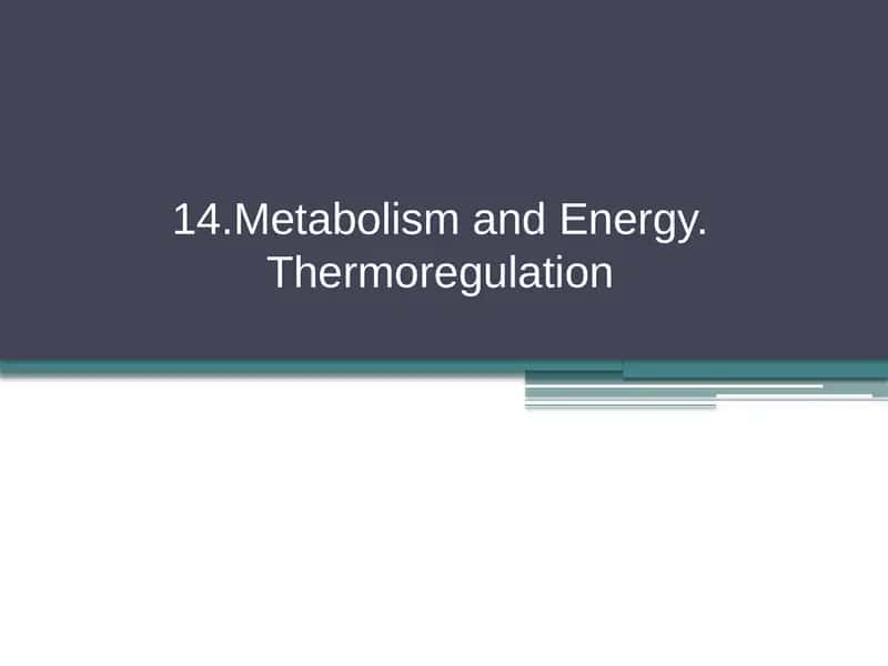 Metabolism and Energy. Thermoregulation