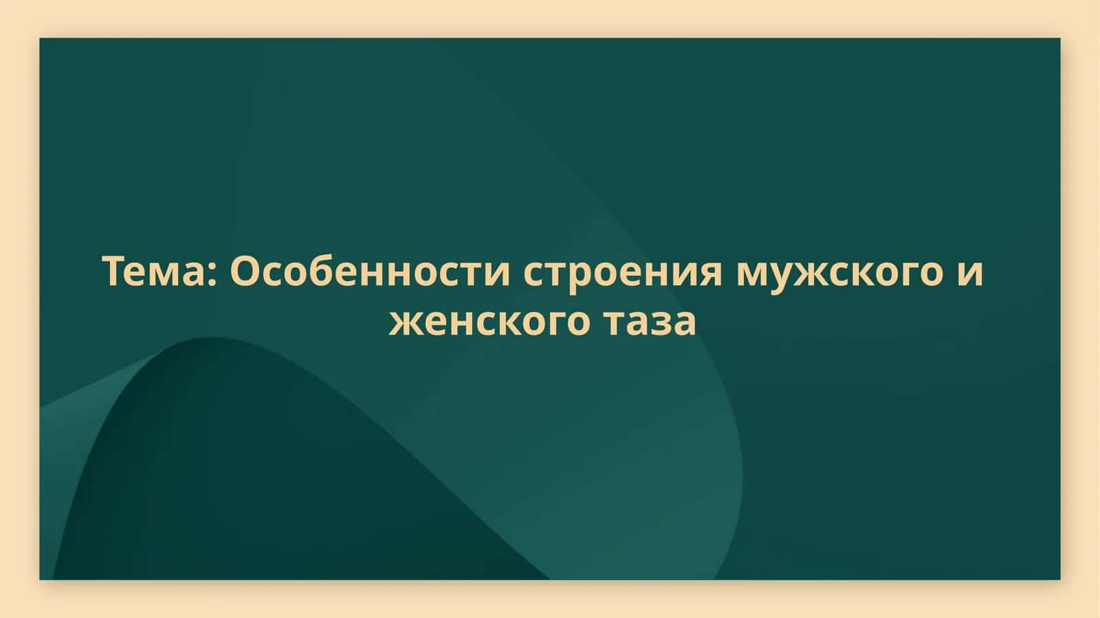 Особенности строения мужского и женского таза
