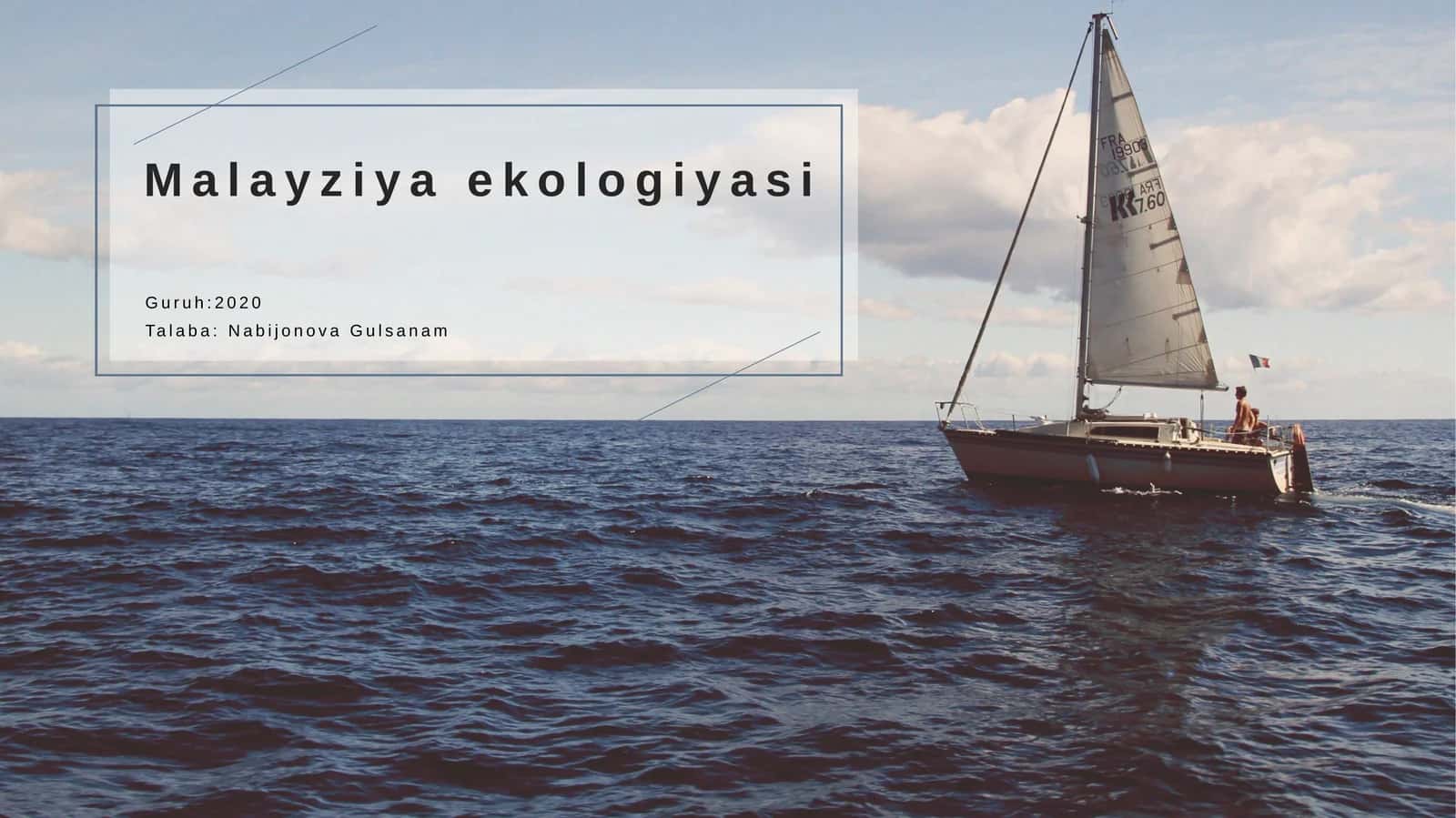 Malayziya ekologiyasi