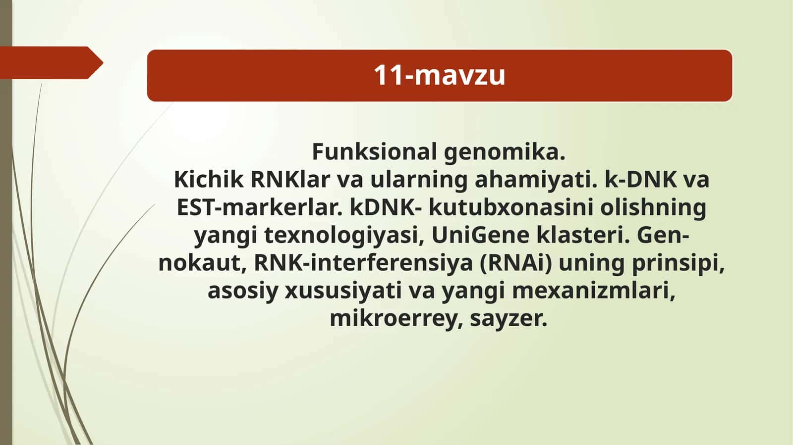 Funksional genomika