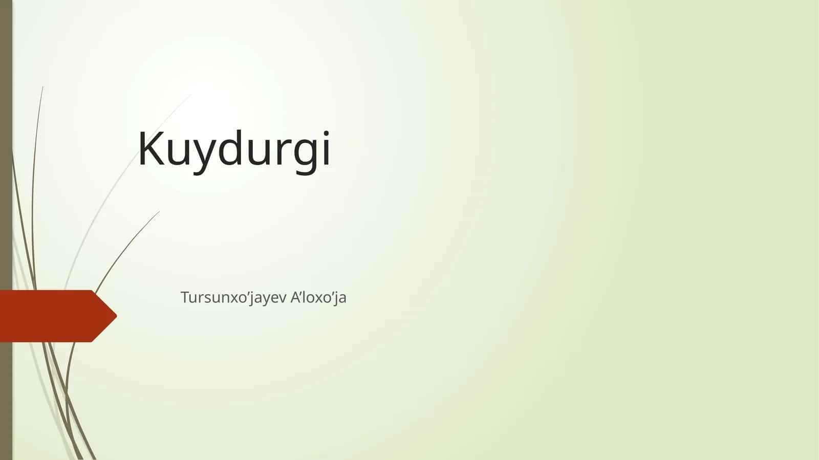 Kuydurgi