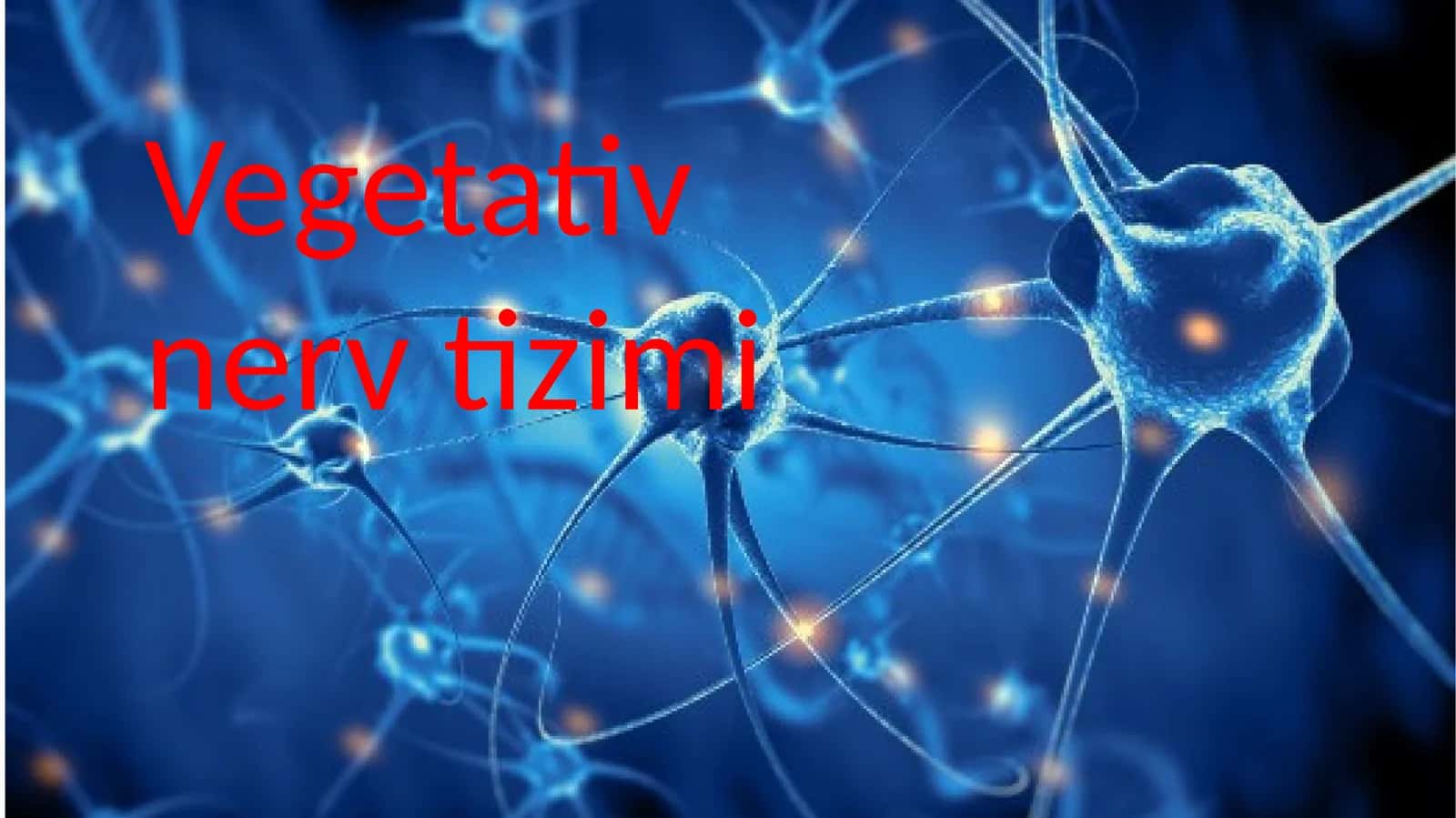 Vegetativ nerv tizimi