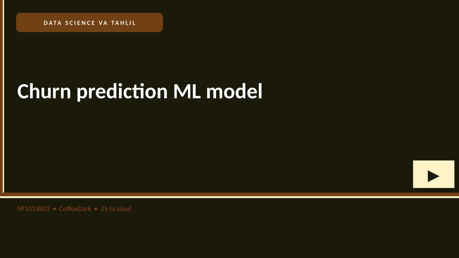 Churn prediction ML model