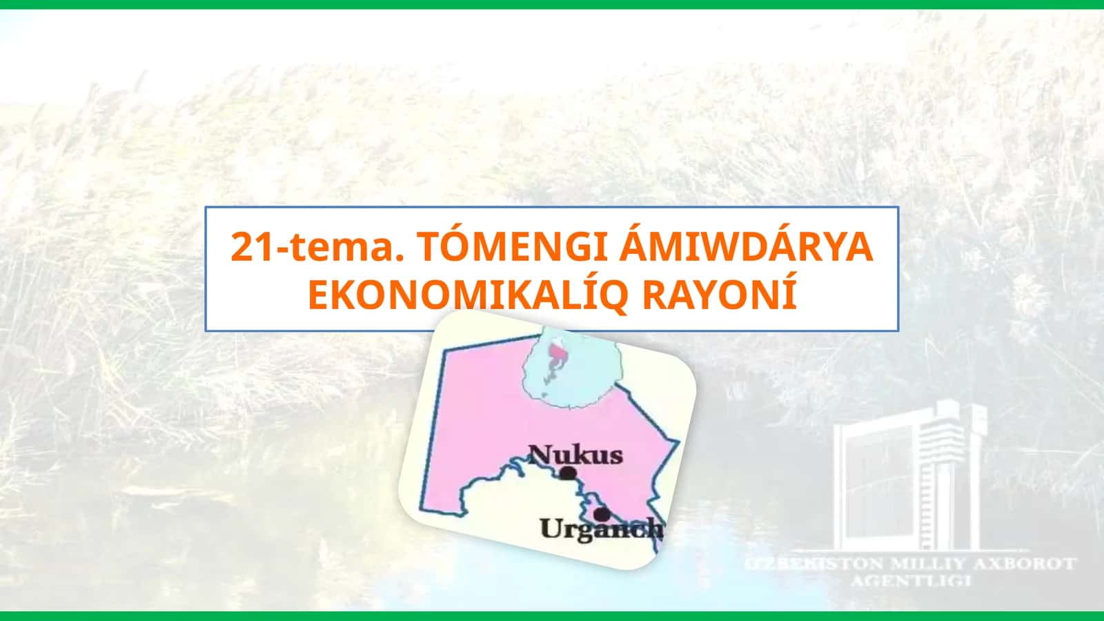 Tómengi Ámiwdárya Ekonomikalíq Rayonı