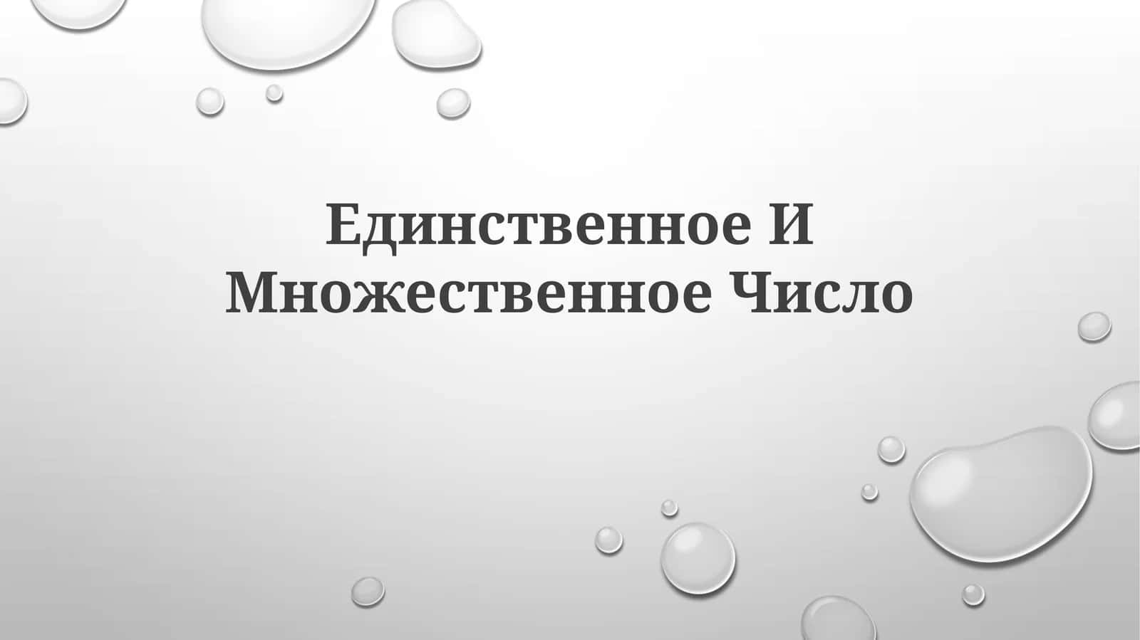 Единственное ИМножественноеЧисло