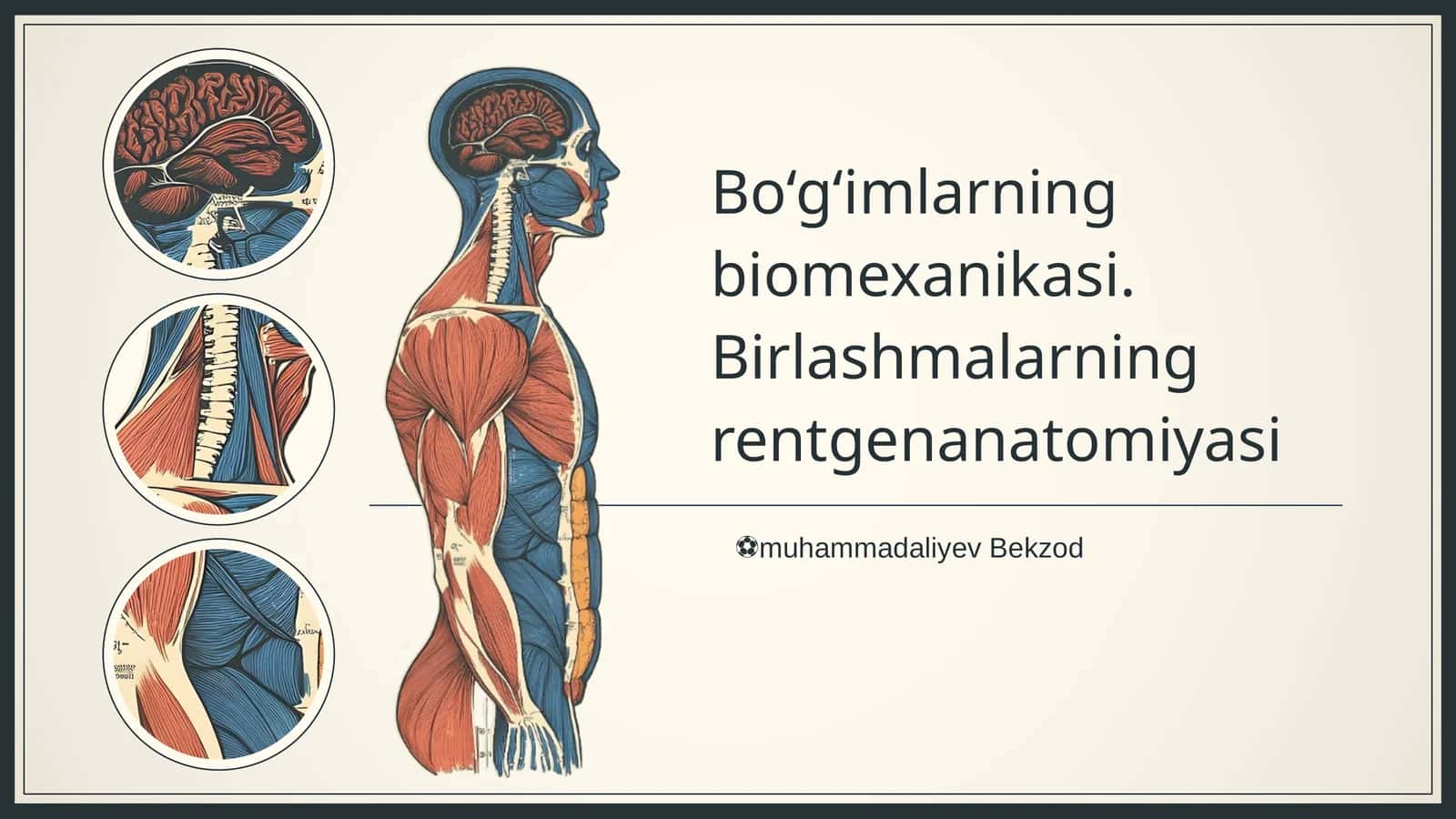 Bo‘g‘imlarning biomexanikasi. Birlashmalarning rentgenanatomiyasi