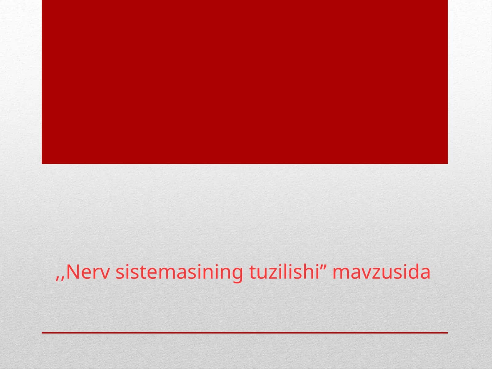 Nerv sistemasining tuzilishi