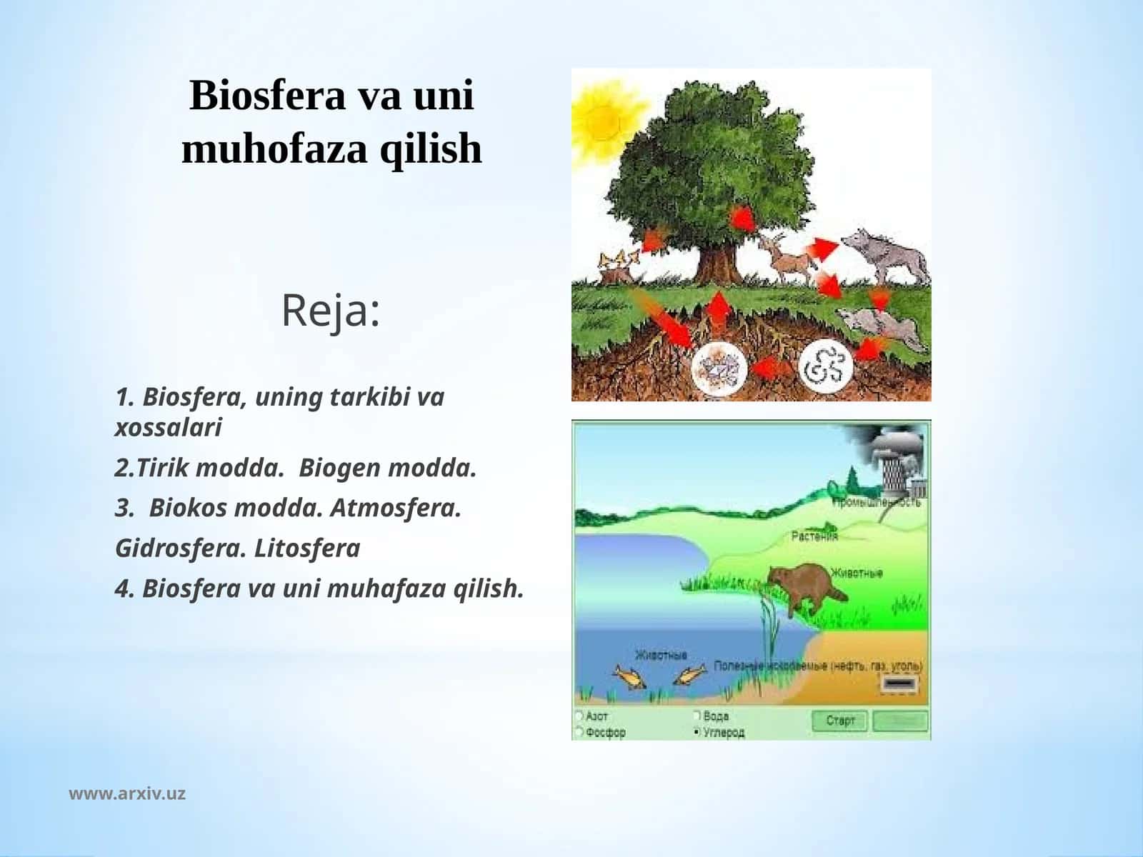 Biosfera va uni muhofaza qilish