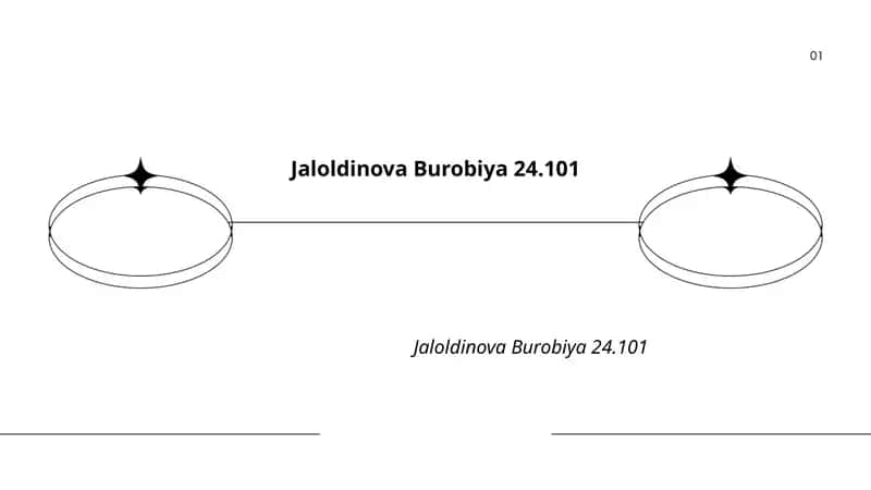 Jaloldinova Burobiya 24.101