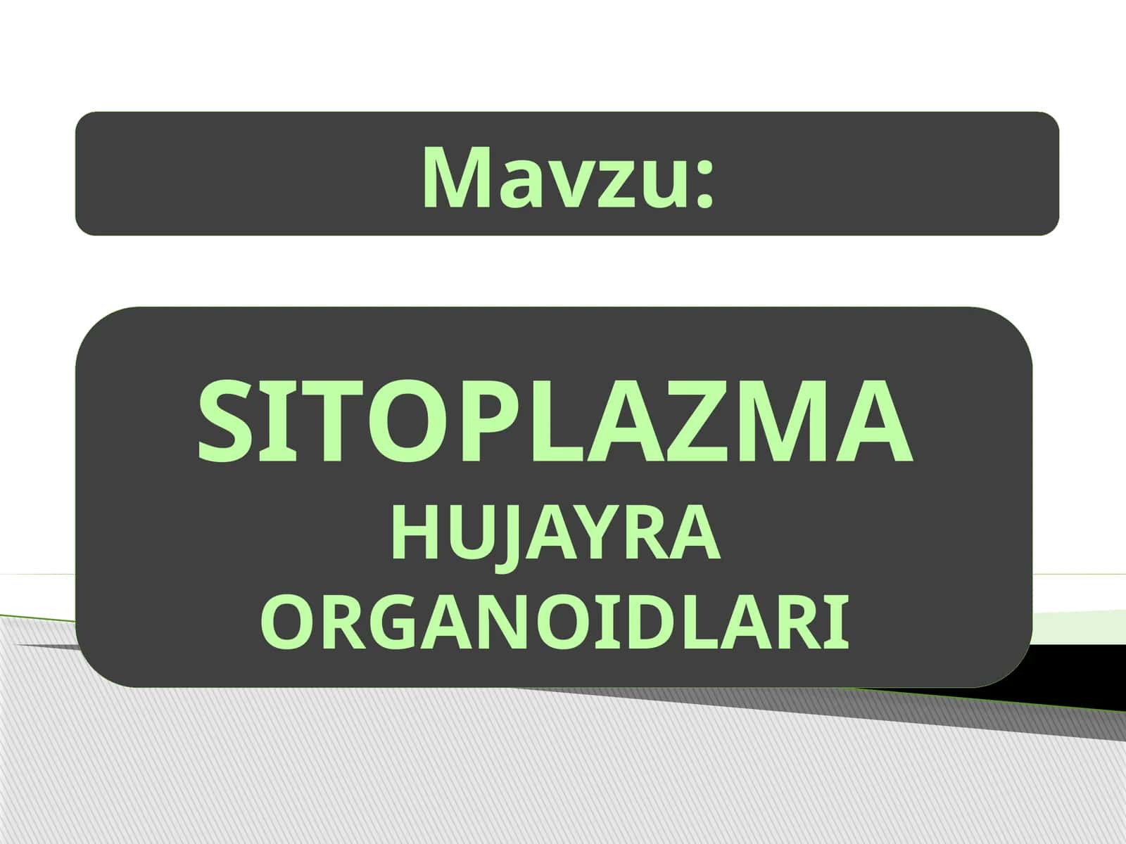 Sitoplazma va organoidlar