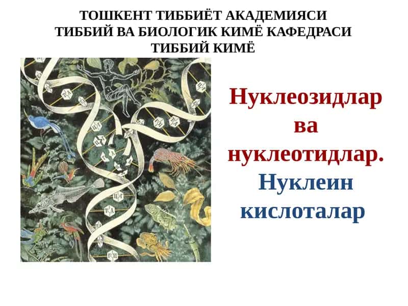 Нуклеозидлар ва нуклеотидлар