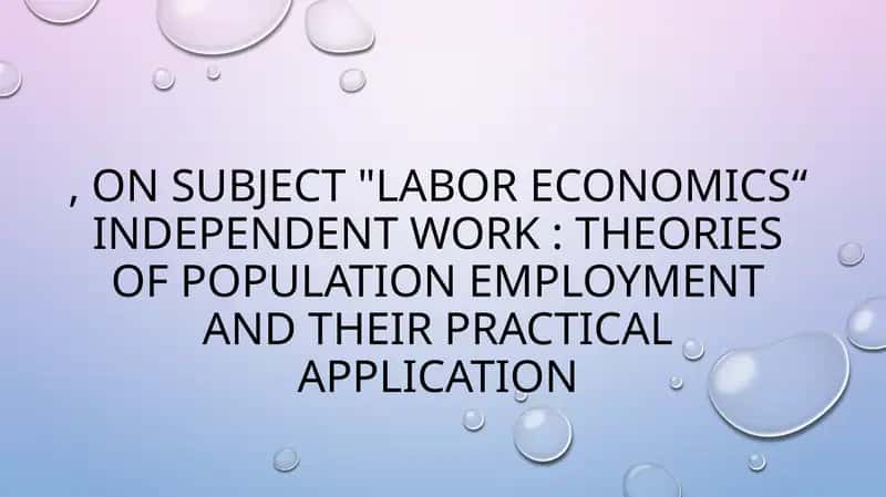 "LABOR ECONOMICS“ INDEPENDENT WORK
