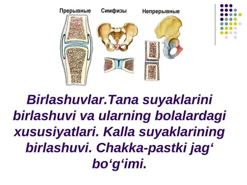 Birlashuvlar.Tana suyaklarini birlashuvi va ularning bolalardagi xususiyatlari