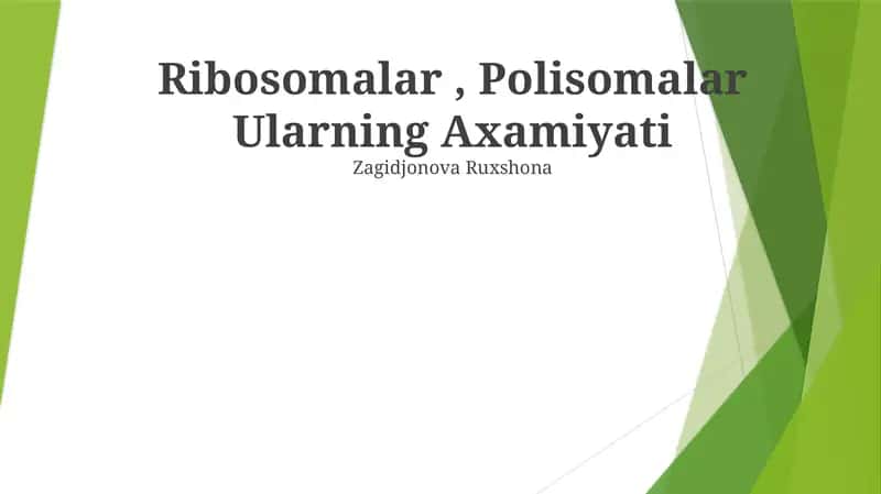 Ribosomalar, Polisomalar Ularning Axamiyati