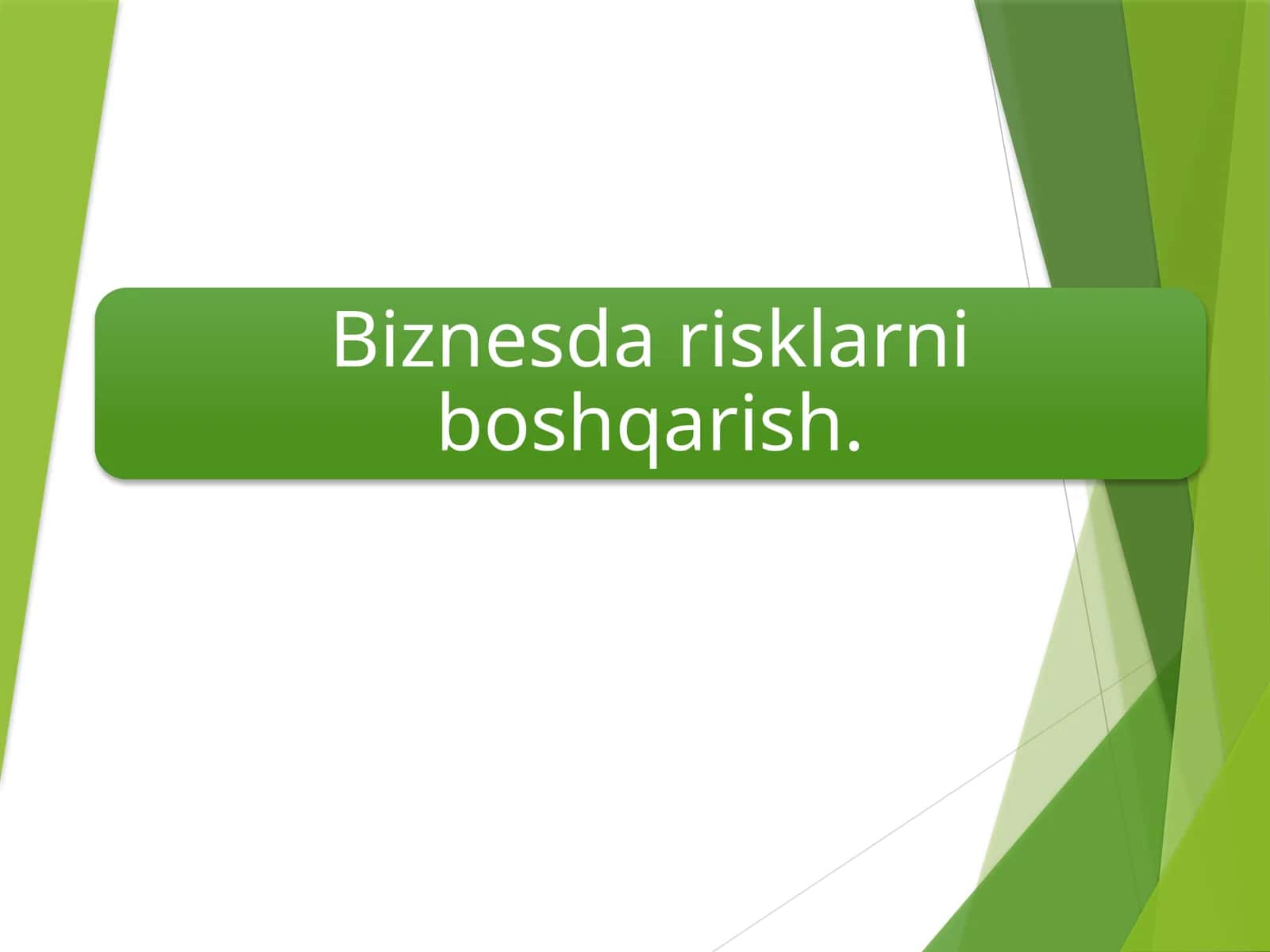 Biznesda risklarni boshqarish.