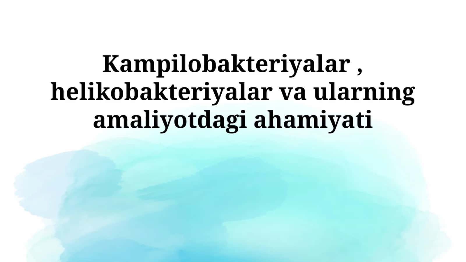 Kampilobakteriyalar, helikobakteriyalar va ularning amaliyotdagi ahamiyati