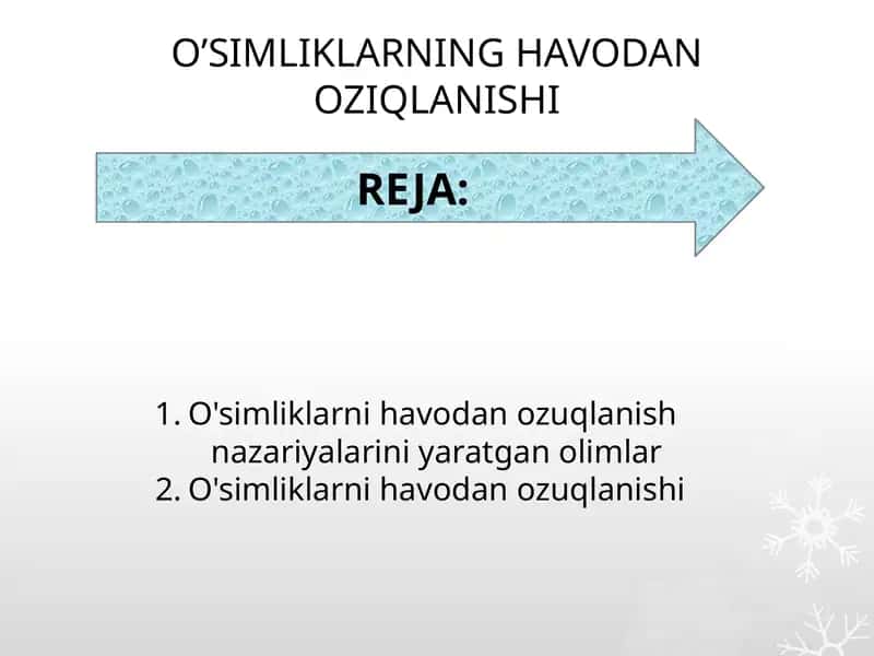 O’SIMLIKLARNING HAVODAN OZIQLANISHI