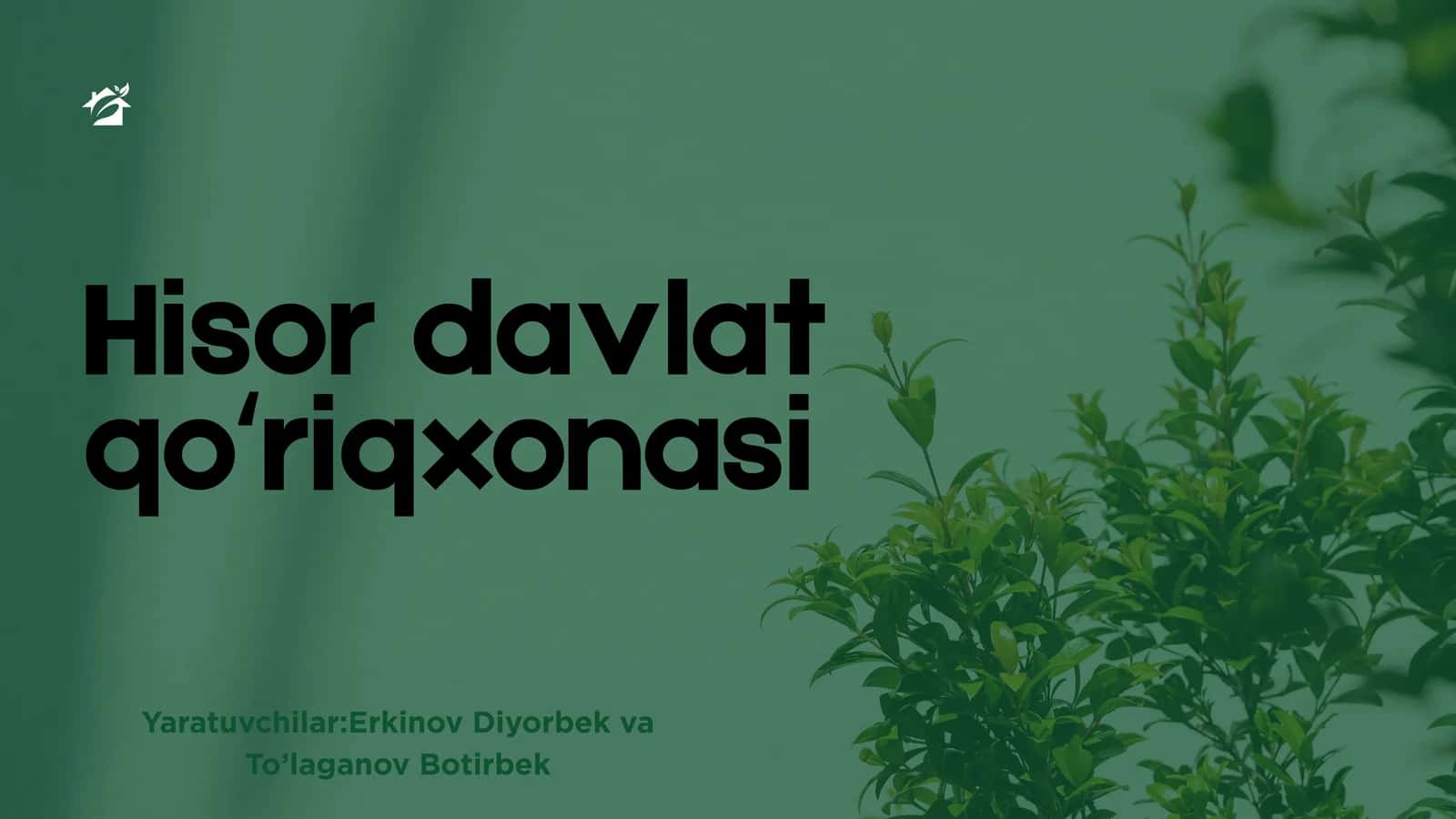 Hisor davlat qoʻriqxonasi
