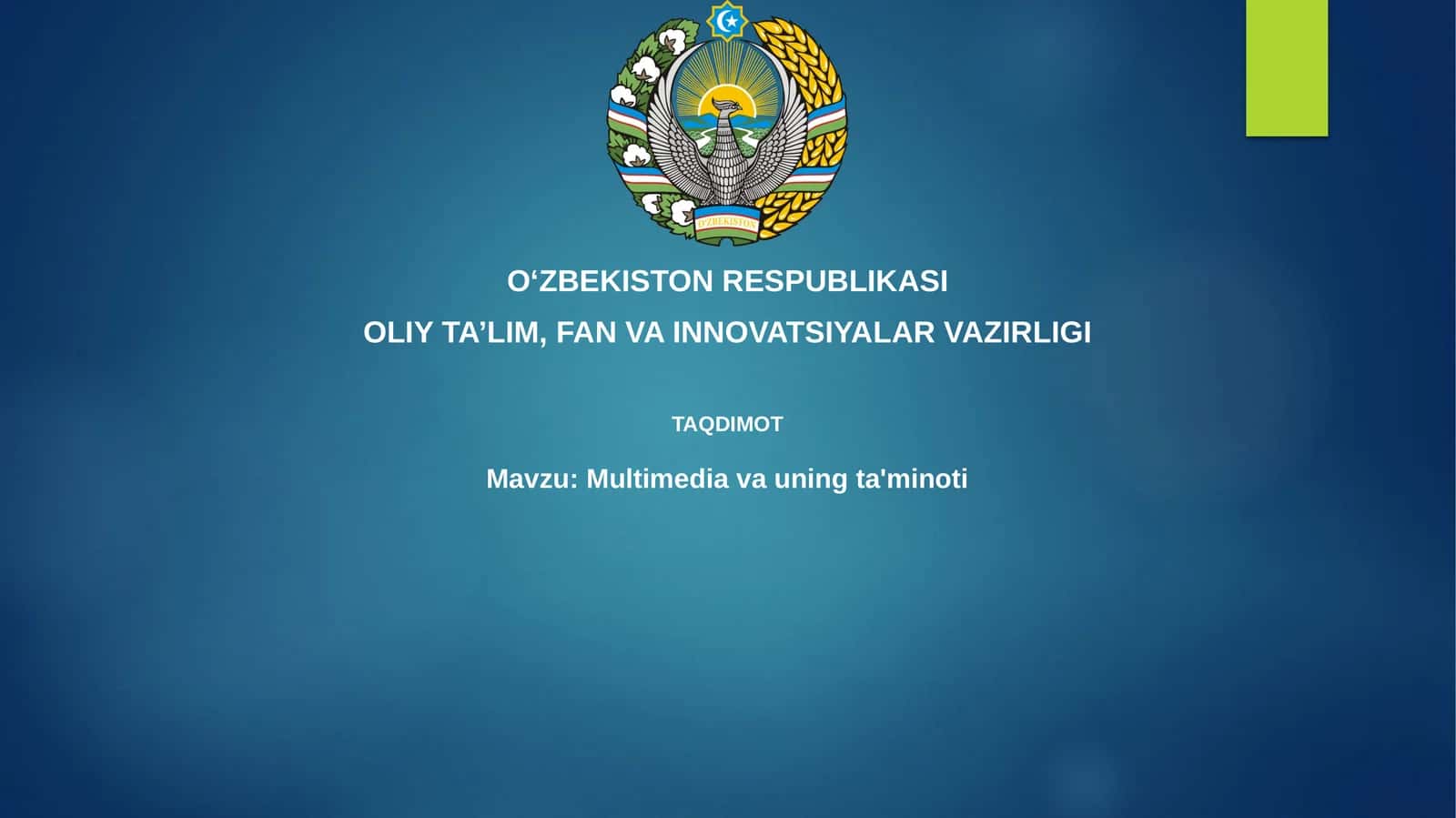 Multimedia va uning ta'minoti
