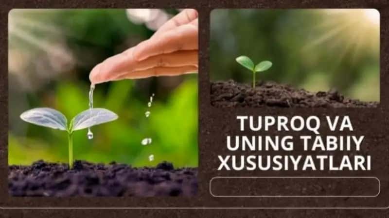Tuproq va uning tabiiy xususiyatlari