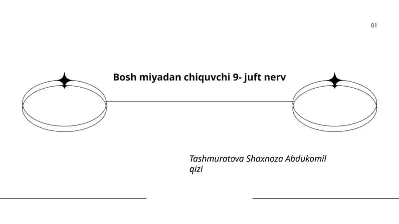 IX juft nervning umumiy anatomiyasi
