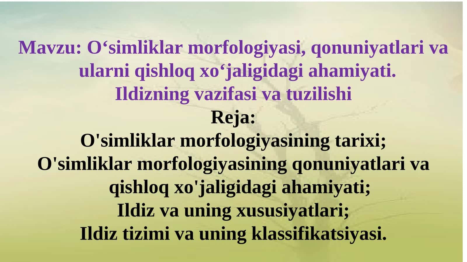 O‘simliklar morfologiyasi, qonuniyatlari va ularni qishloq xo‘jaligidagi ahamiyati