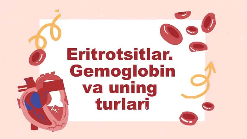 Eritrotsitlar, Gemoglobin va uning turlari