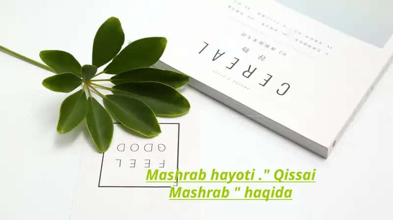 Mashrab hayoti