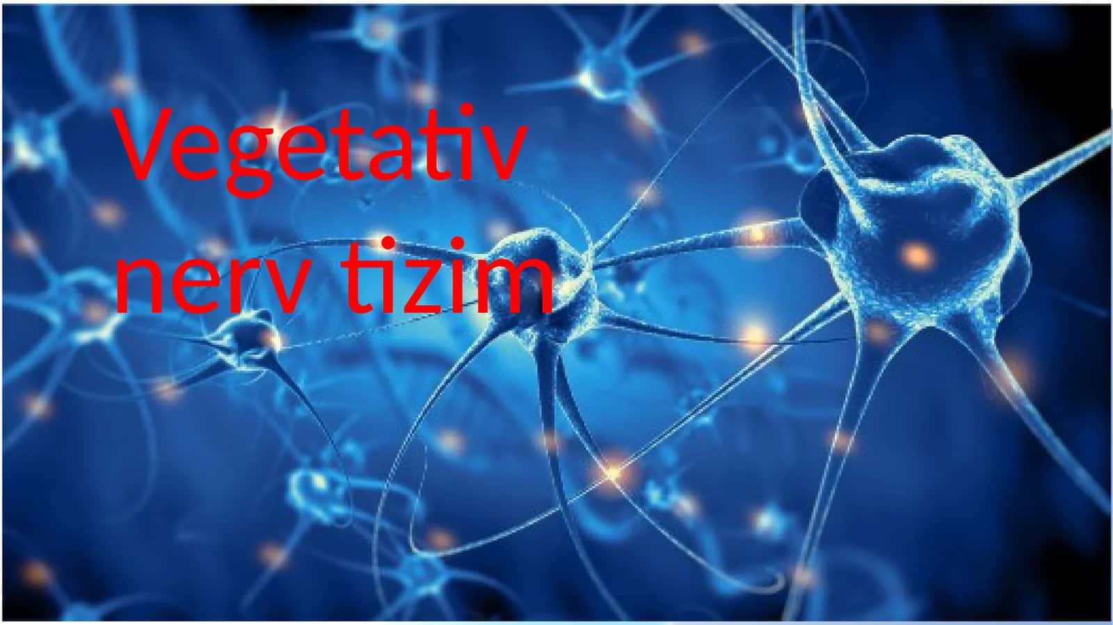 Vegetativ nerv tizimi