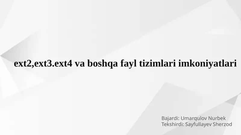 EXT File System