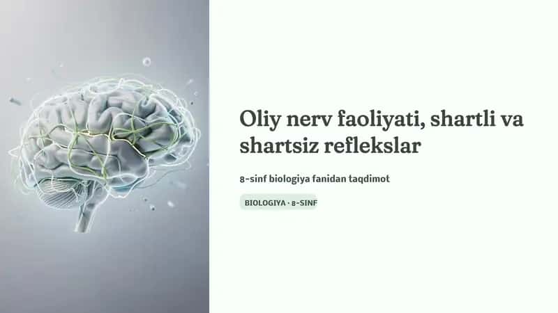 Oliy nerv faoliyati, shartli va shartsiz reflekslar